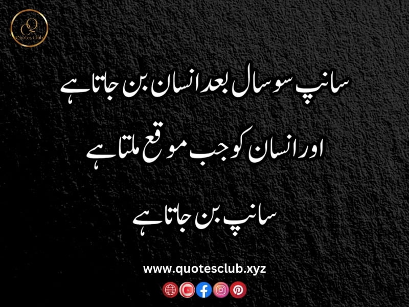 best urdu quotes