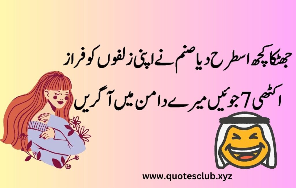 funny Shayari in urdu