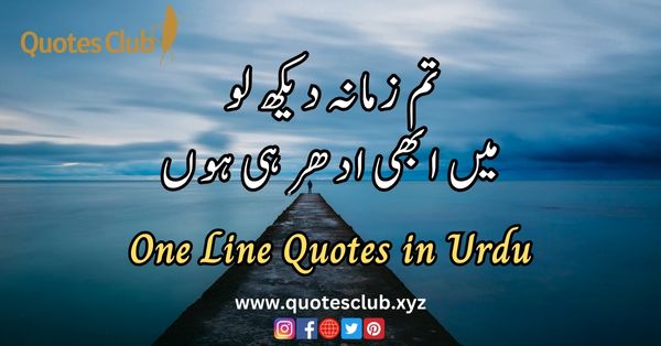 One Line quotes in urdu
